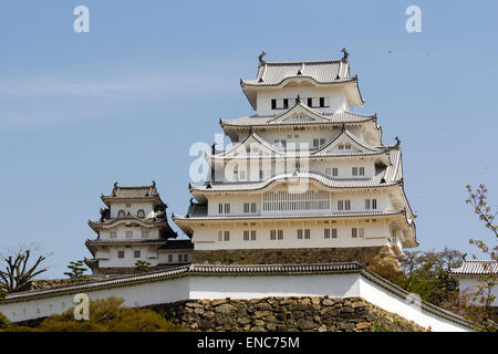 Le château Himeji restauré, vue du point de vue classique du parc du château. Un blanc brillant contre un ciel bleu sans nuages au printemps Banque D'Images