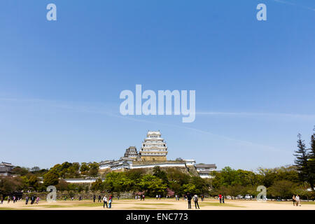 Le château Himeji restauré, vue du point de vue classique du parc du château. Un blanc brillant contre un ciel bleu sans nuages au printemps Banque D'Images