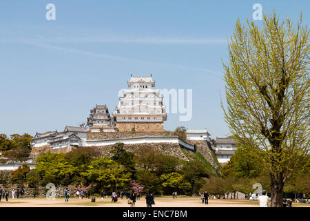 Le château Himeji restauré, vue du point de vue classique du parc du château. Un blanc brillant contre un ciel bleu sans nuages au printemps Banque D'Images