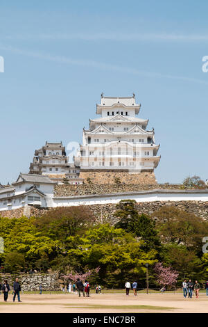 Le château Himeji restauré, vue du point de vue classique du parc du château. Un blanc brillant contre un ciel bleu sans nuages au printemps Banque D'Images