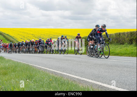 Peloton principal de cyclistes, la deuxième étape, Tour de Yorkshire, Yorkshire Wolds en arrière-plan. Yorkshire, Angleterre, Royaume-Uni Banque D'Images