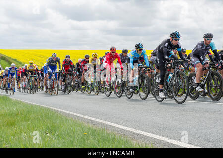 Peloton principal de cyclistes, la deuxième étape, Tour de Yorkshire, Yorkshire Wolds en arrière-plan. Yorkshire, Angleterre, Royaume-Uni Banque D'Images