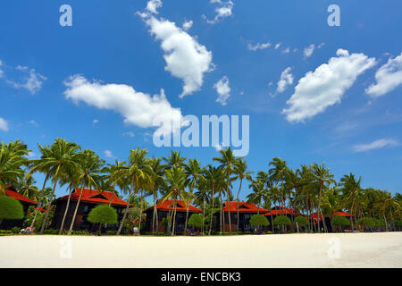 La plage de sable tropicale avec palmiers à Pantai Cenang, Langkawi, Malaisie Banque D'Images