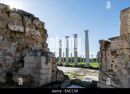 Ruines de Salamis, près de Famagouste (Gazimagusa), Chypre du Nord Banque D'Images