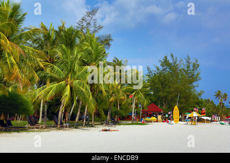 La plage de sable tropicale avec palmiers à Pantai Cenang, Langkawi, Malaisie Banque D'Images