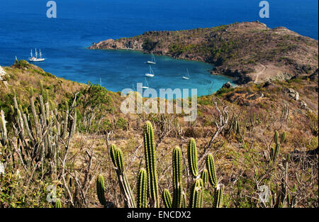 Saint-barth, Saint-Barthélemy, French West Indies : la mer des Caraïbes et les yachts et voiliers ancrés dans la baie de Colombier beach Banque D'Images