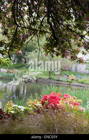 Floraison printanière dans Hyde Park Londres Angleterre 'splash' de couleur Banque D'Images