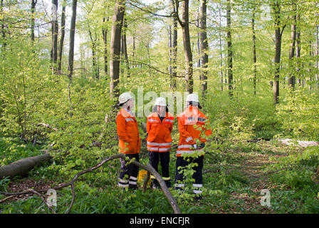 Bad Muender am Deister, Allemagne. 2ng, mai 2015. Les pompiers travaillent sur le site de l'écrasement d'un petit avion près de Bad Muender am Deister, Allemagne, 02 mai 2015. Au moins une personne a été tuée lors de l'écrasement. Des dizaines de travailleurs de sauvetage avait été peignant par la forêt pour des débris de l'avion au cours de l'après-midi. PHOTO : JULIAN STRATENSCHULTE/dpa dpa : Crédit photo alliance/Alamy Live News Banque D'Images