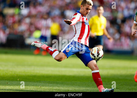 Bilbao, Espagne. 09Th Mai, 2015. Antonie Griezmann en avant de l'Atletico de Madrid . La Liga football. Par rapport à l'Atlético de Madrid Athletic Club Bilbao au stade Vicente Calderon. Credit : Action Plus Sport/Alamy Live News Banque D'Images