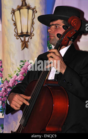 Homme mûr en dîner officiel violoncelle jouant costume Banque D'Images