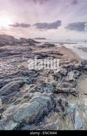 Pentireglaze haven près de la plage de polzeath à Cornwall england uk Banque D'Images