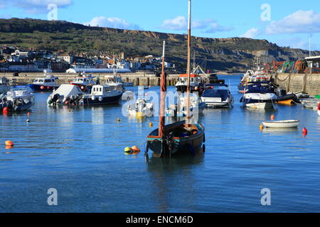 Lyme Regis vue sur port en direction de la ville, tente aménagée sur front de mer pour les combustibles festival, Dorset, England, UK Banque D'Images