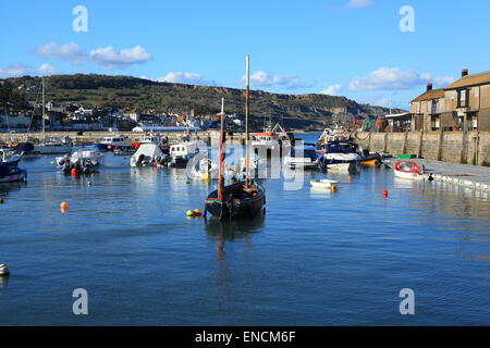 Lyme Regis vue sur port en direction de la ville, tente aménagée sur front de mer pour les combustibles festival, Dorset, England, UK Banque D'Images