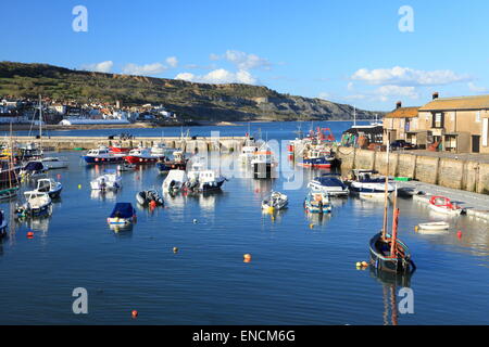 Lyme Regis vue sur port en direction de la ville, tente aménagée sur front de mer pour les combustibles festival, Dorset, England, UK Banque D'Images