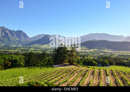 Paysage du vignoble de Franschhoek, Afrique du Sud Banque D'Images