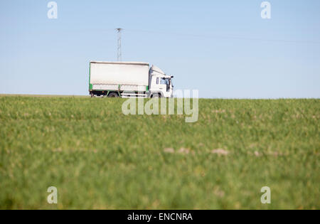 En passant par camion sur un champ agricole vert de céréales sur le printemps Banque D'Images