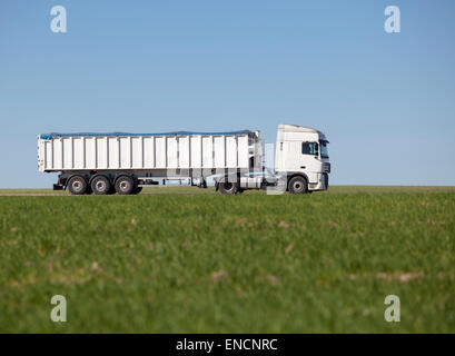 En passant par camion sur un champ agricole vert de céréales sur le printemps Banque D'Images