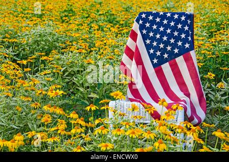 Drapeau américain sur wicker chair blanche dans un champ de marguerites jaunes. Banque D'Images