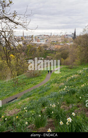 Paris au printemps - marche à travers les jonquilles sur le sentier vers le bas Château rocher du château d'Édimbourg Banque D'Images