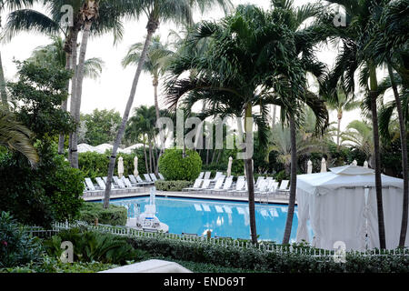 Piscine turquoise entourée de palmiers, Miami, Floride Banque D'Images