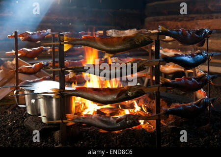 Poisson Saibling griller sur feu ouvert dans Fischerhütte, cabane de pêcheurs à Altaussee, Styrie, Autriche Banque D'Images