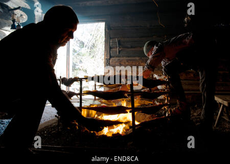 Torréfaction pêcheur Saibling fish sur feu ouvert dans Fischerhütte, Altaussee, Styrie, Autriche Banque D'Images