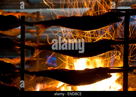 Poisson Saibling griller sur feu ouvert dans Fischerhütte près du lac Altaussee, Styrie, Austriatravel Banque D'Images