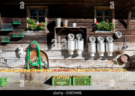 Avant d'une maison en bois avec une fontaine remplie de bidons à lait, pommes et fleurs windows dans Pichl-Kainsch, Bad Mitterndorf, Styrie, Autriche Banque D'Images