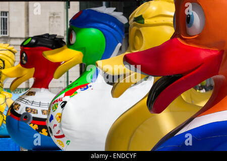 Modèle en fibre de verre peint en couleur canard animal sculpture, Liverpool, Merseyside, 3 mai, 2015. Gemma Seddon, artiste de l'environnement à partir de Londres, sa peinture "Duck" pour le projet de centre-ville LightNight, une équipe d'artistes est la décoration d'une multitude de canards géants à la vue du public au développement de l'île de Mann. Le Canard Liverpool Trail, commandé par AquaDucked, est d'être lancé sur LightNight pour présenter la créativité dynamique vivant à Liverpool. Banque D'Images