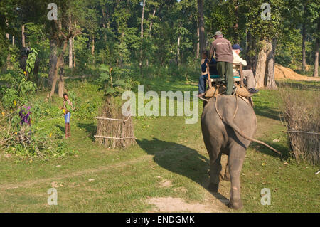 Le Népal, Parc national royal de Bardia, éléphant, mahout et les touristes en safari d'éléphant Banque D'Images