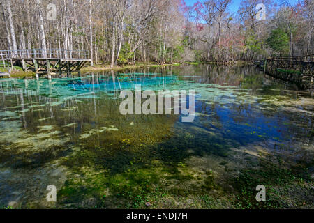 Pot de l'enflure, Blue Spring en Floride, USA, printemps Haut Banque D'Images