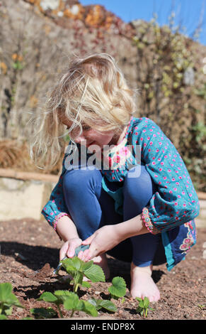 Jolie jeune fille la plantation de fraisiers dans un jardin Banque D'Images