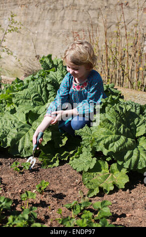 Jolie jeune fille la plantation de fraisiers dans un jardin Banque D'Images