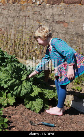 Pretty young girl gardening barefoot Banque D'Images