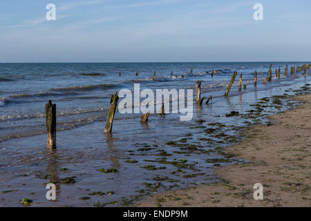 Plage en bois posts sur le rivage à Gold Beach, de la D-Day le débarquement des alliés le 6 juin 1944 du site WW2, Asnelles, Normandie France Banque D'Images