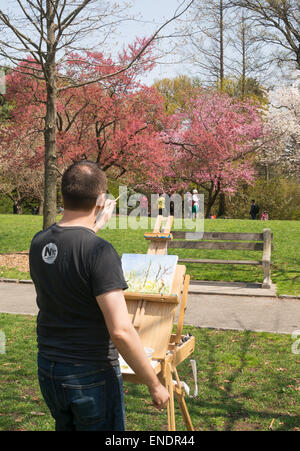 L'artiste avec la peinture de chevalet au Jardin botanique de Brooklyn, New York, USA Banque D'Images