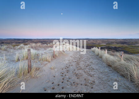 Pleine lune sur les dunes de sable en chemin, Hollande du Nord, Pays-Bas Banque D'Images