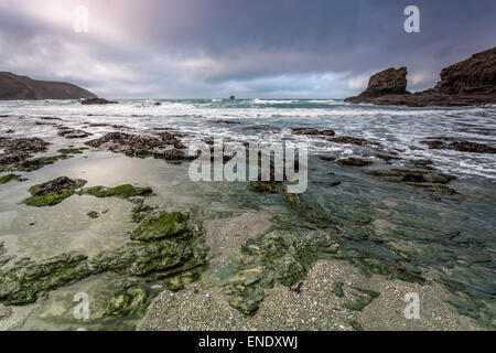 Plage de porth Trevellas au crépuscule à la recherche de l'autre côté de la plage jonchée d'Algues Banque D'Images