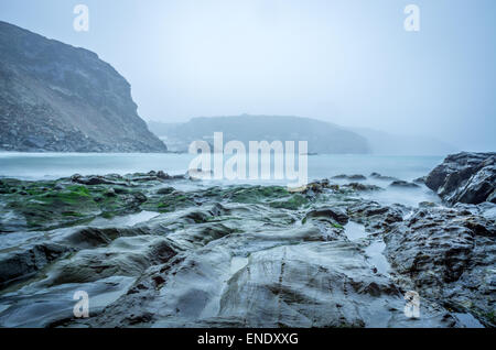 Trevellas porth, examinant l'ensemble des rochers parsemés d'algues à Cornwall england uk Banque D'Images