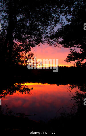 Batterson Pond sunset, Batterson Park Pond Rampe de mise à l'État, New Britain, Connecticut Banque D'Images