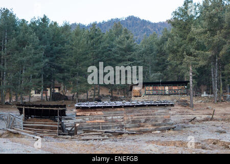 Terres agricoles de la vallée de Phobjikha, Bhoutan, Asie de l'Ouest Banque D'Images