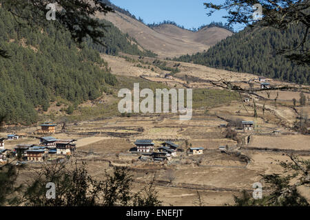 Terres agricoles de la vallée de Phobjikha, Bhoutan, Asie de l'Ouest Banque D'Images