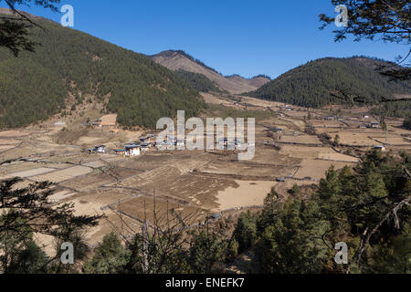 Terres agricoles de la vallée de Phobjikha, Bhoutan, Asie de l'Ouest Banque D'Images