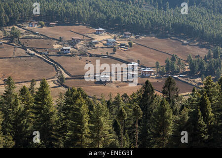 Terres agricoles de la vallée de Phobjikha, Bhoutan, Asie de l'Ouest Banque D'Images