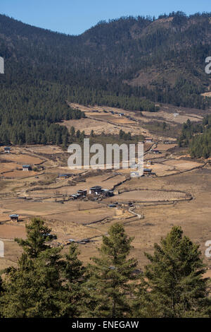 Terres agricoles de la vallée de Phobjikha, Bhoutan, Asie de l'Ouest Banque D'Images