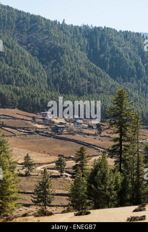 Terres agricoles de la vallée de Phobjikha, Bhoutan, Asie de l'Ouest Banque D'Images