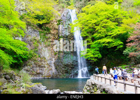 Parc Minoo à la périphérie d'Osaka. La célèbre attraction touristique, la cascade de Mino avec son stand d'observation touristique au printemps. Banque D'Images