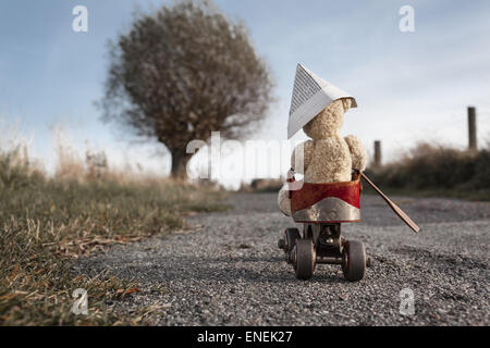 Un ours en roller, skate un véhicule sur une petite route à la campagne Banque D'Images