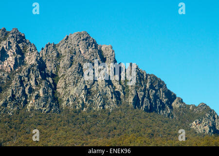 Mont Roland en Tasmanie, Australie Banque D'Images