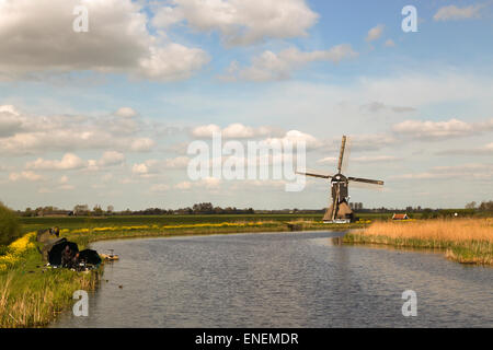 Moulin à vent hollandais nommé 'Achterste molen' dans Alblasserwaard, polder Streefkerk, Pays-Bas Banque D'Images